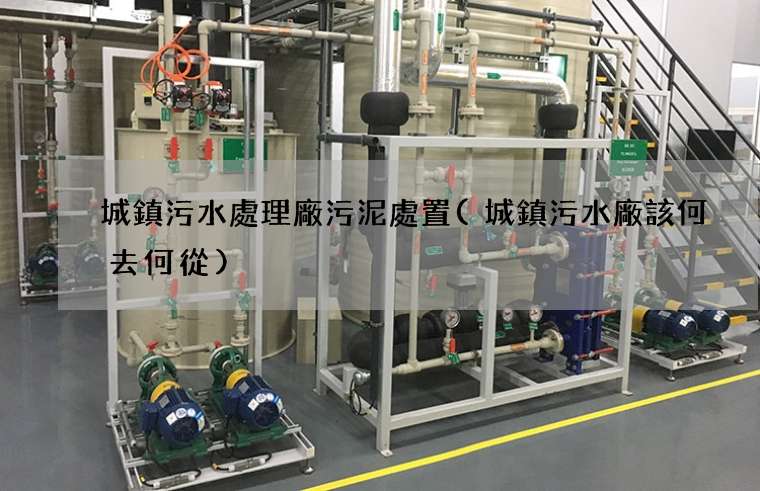 城鎮污水處理廠污泥處置(城鎮污水廠該何去何從)
